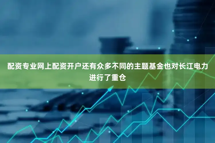 配资专业网上配资开户还有众多不同的主题基金也对长江电力进行了重仓