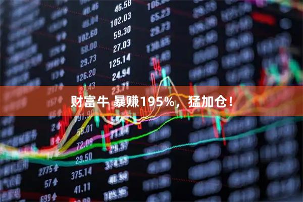 财富牛 暴赚195%，猛加仓！