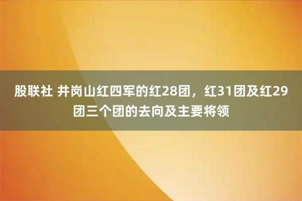 股联社 井岗山红四军的红28团，红31团及红29团三个团的去向及主要将领
