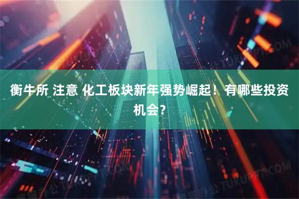 衡牛所 注意 化工板块新年强势崛起！有哪些投资机会？
