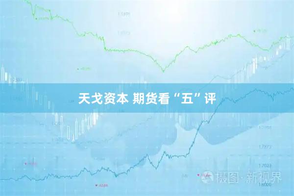 天戈资本 期货看“五”评