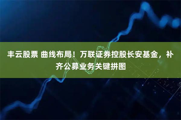丰云股票 曲线布局!万联证券控股长安基金,补齐公募业务关键拼图