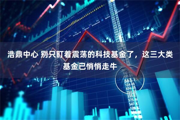 浩鼎中心 别只盯着震荡的科技基金了，这三大类基金已悄悄走牛